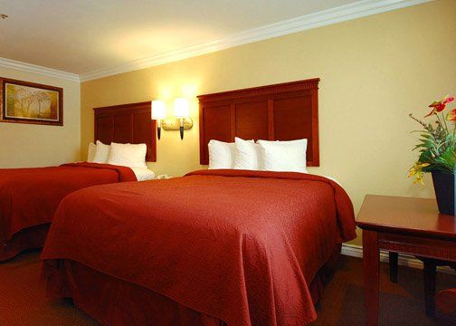 Hotel Super 8 By Wyndham Buena Park Area *